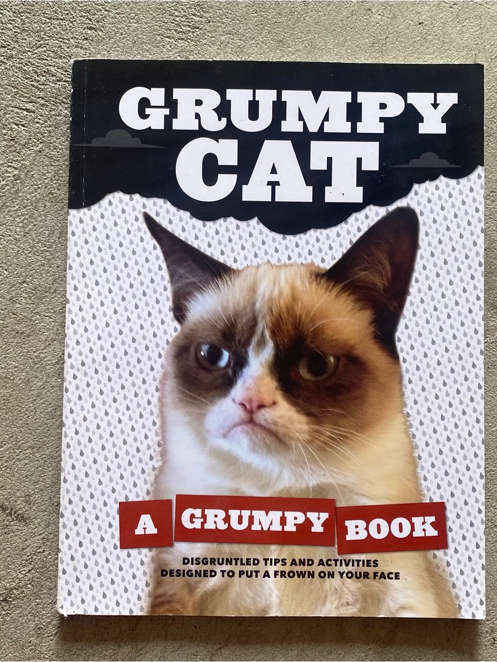 Grumpy Cat - ‘A Grumpy Book’